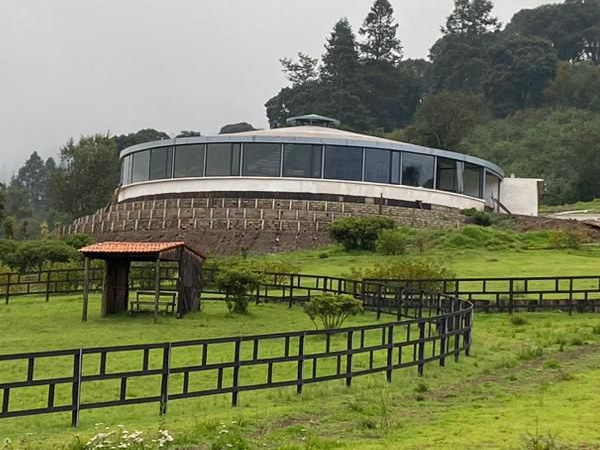 Proyecto Salazar